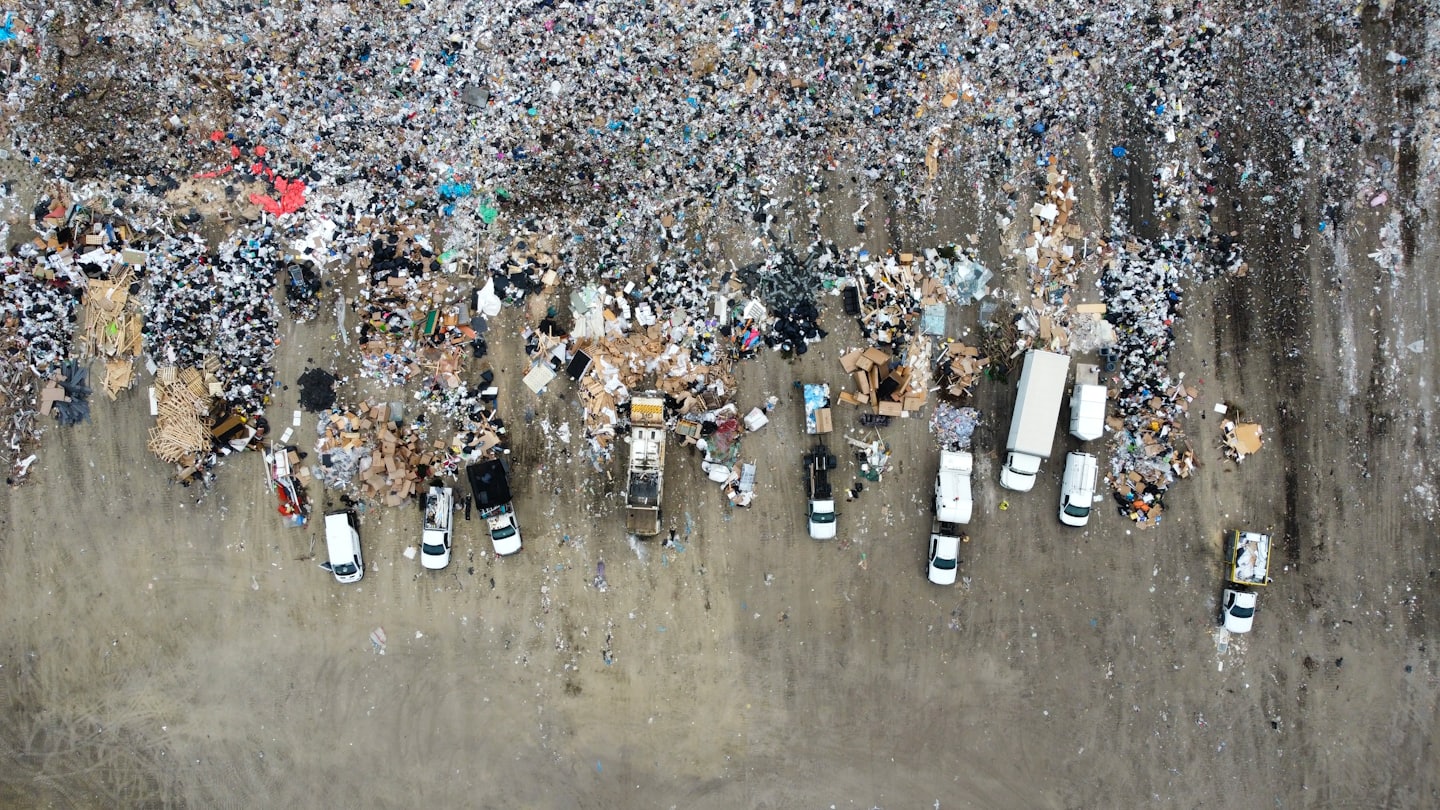 Услуга вывоза мусора в Москве